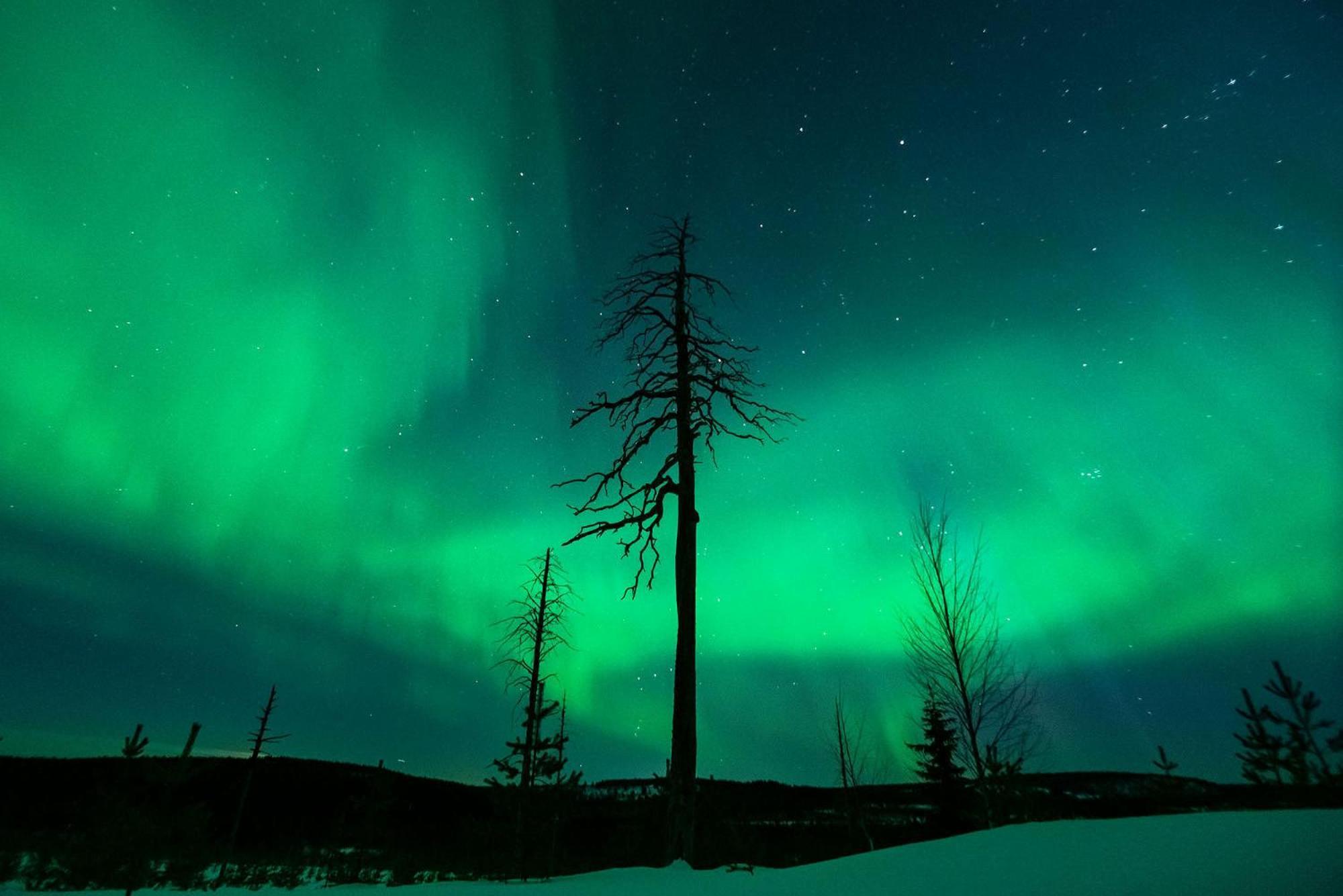 Hotel Napapiirin Jaervilomat Luukonniemi Exteriér fotografie