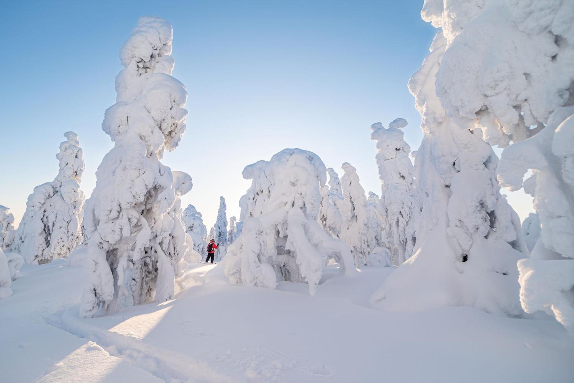 Hotel Napapiirin Jaervilomat Luukonniemi Exteriér fotografie
